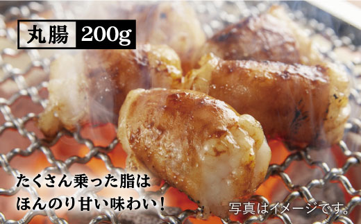 【味付き・大容量】ホルモン専門店の豪華！焼き肉4種セット計1kg（和牛ハラミ 400g / 豚ハラミ・丸腸・シマ腸 各200g） 吉野ヶ里町/三田川ホルモン専門店 [FAC011]