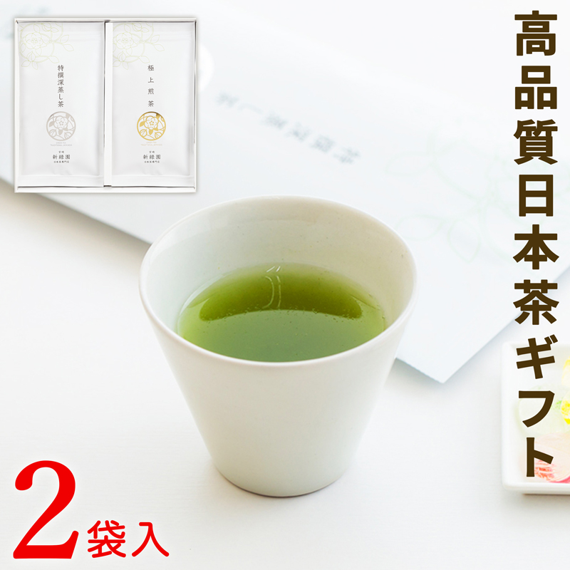 ［宮崎日本茶専門店］極上煎茶100g 特撰深蒸し茶100g【B590】