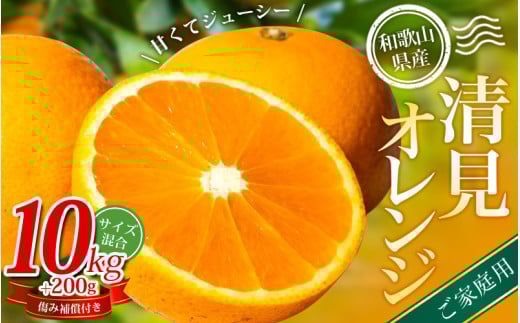 【家庭用】 森本農園の手選別 清見オレンジ 約10kg +200g傷み補償付 和歌山県産 サイズ混合 【北海道・沖縄・離島配送不可】※2025年2月上旬～5月中旬頃順次発送【RN39】 / 柑橘 ご家庭用 期間限定 由良町 果物 フルーツ 和歌山県【mrmt039】
