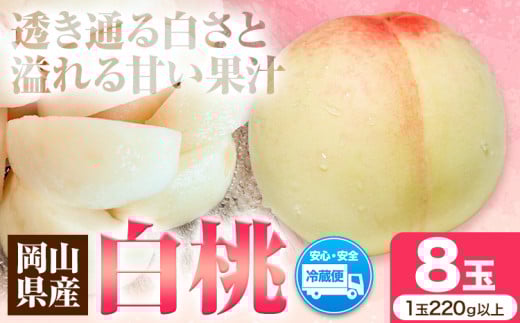 先行予約 岡山県産 白桃（1玉220g以上8玉入りロイヤル） 桃 もも 果物 フルーツ 令和8年産先行受付《2026年7月中旬-8月下旬頃出荷》【配送不可地域あり】H-25b