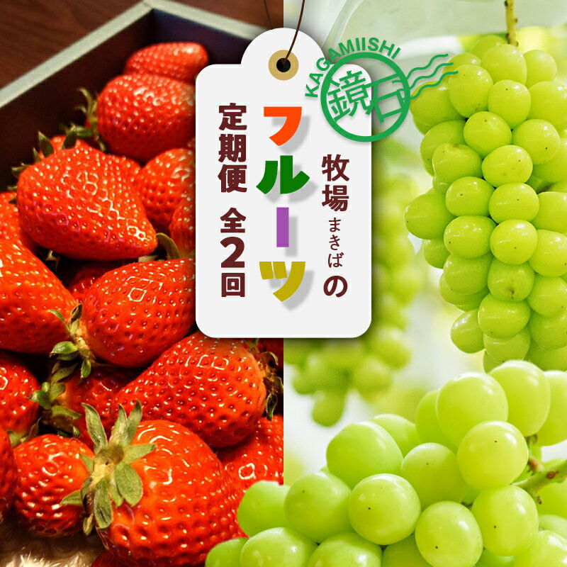 【ふるさと納税】【2026年から発送開始】鏡石町 まきばのフルーツ定期便（いちご 約1kg・シャインマスカット2房） イチゴ 苺 ブドウ ぶどう 福島県 鏡石町 F6Q-420