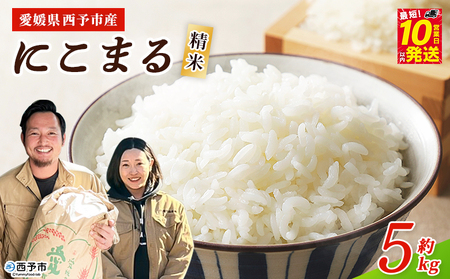 ＜令和7年産 西予市産 にこまる 精米 約5kg＞ ニコマル お米 米 コメ こめ 白米 国産米 単一原料米 ご飯 5キロ お弁当 おにぎり 特産品 愛媛県産 株式会社宇都宮米穀 愛媛県 西予市【常温】『最短10営業日以内に順次出荷予定』NKU0007