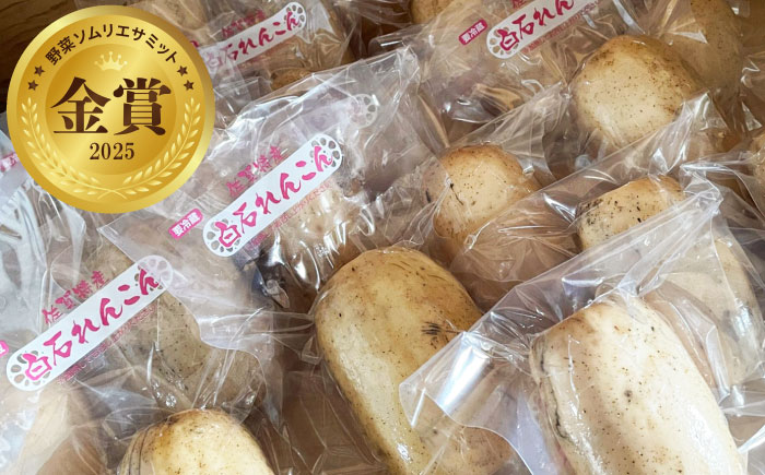 【2027年1月下旬以降順次発送】【金賞受賞！】真空パック 松尾青果のこだわり白石れんこん 約1kg（4-8個）  / 佐賀県 / 松尾青果 [41ASAB001]
