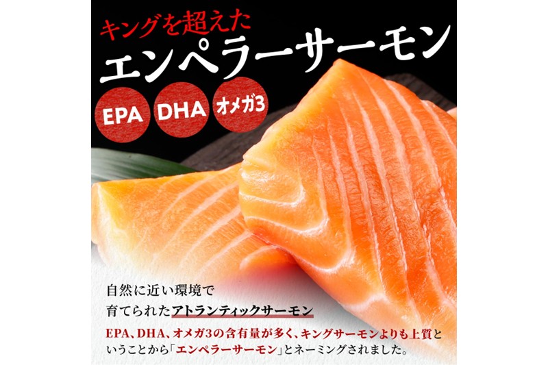 【訳あり】エンペラーサーモン【900g】