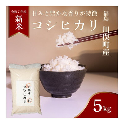 【ふるさと納税】川俣町産 コシヒカリ 精米 5kg【1682407】