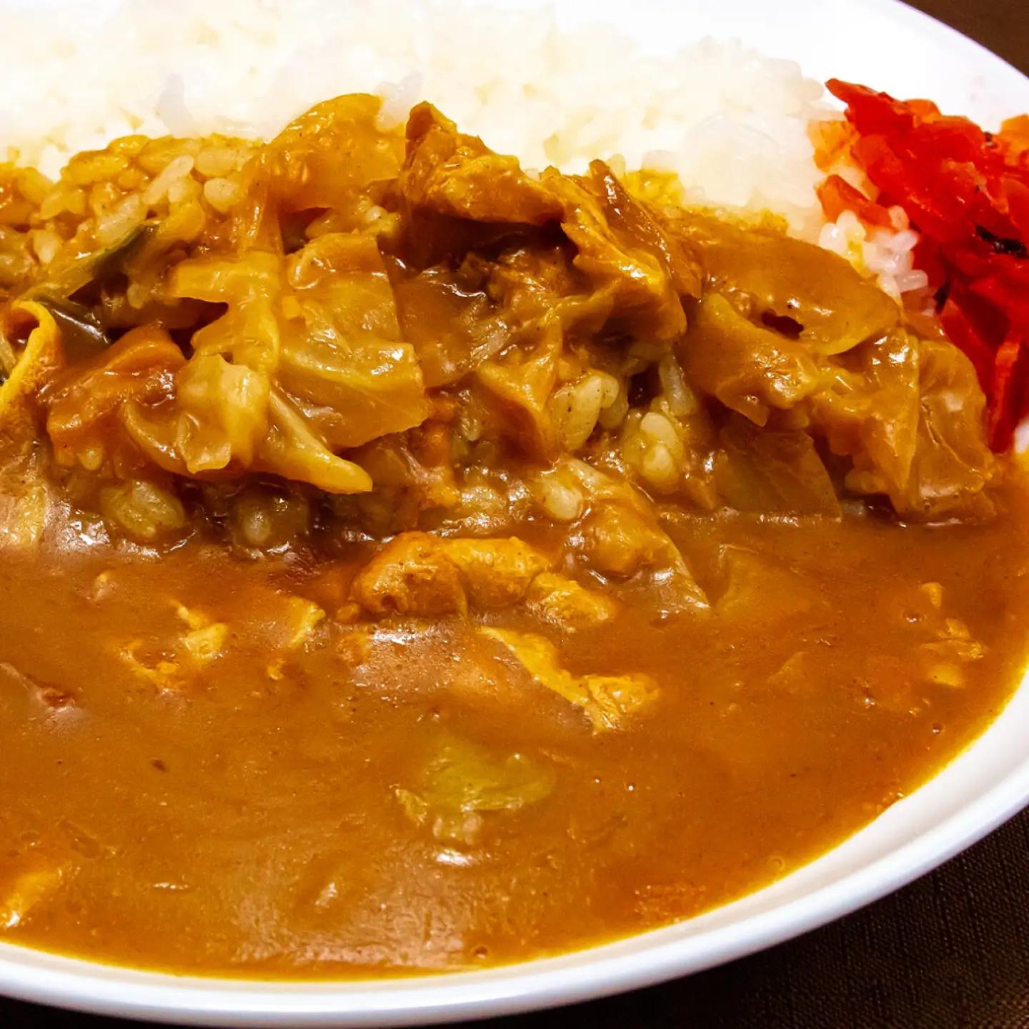 【岐阜タンメン監修】 岐阜タンカレー 180g×2食 セット / レトルトカレー カレー curry 保存食 防災食 恵那市 / テンポイント[AUEU039]