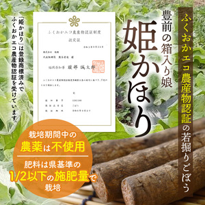 「姫かほり」 ごぼう茶 ティーバッグ（3g×20包）× 2袋_K04303