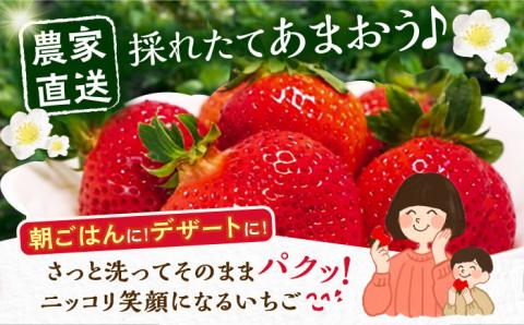 【先行予約】【1月発送】農家直送 あまおう 厳選デラックスG 1080g (270ｇ以上 × 4 パック) 土耕栽培《豊前市》【内藤農園】果物 いちご [VAB003]