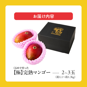 【2026年6月以降お届け】極　完熟マンゴー（2?3玉：約1.1?1.3kg） _ 完熟マンゴー 2 ? 3玉 約1.1kg 1.3kg 平均糖度 17度?18度 完熟 マンゴー 倉重農園 フルーツ 