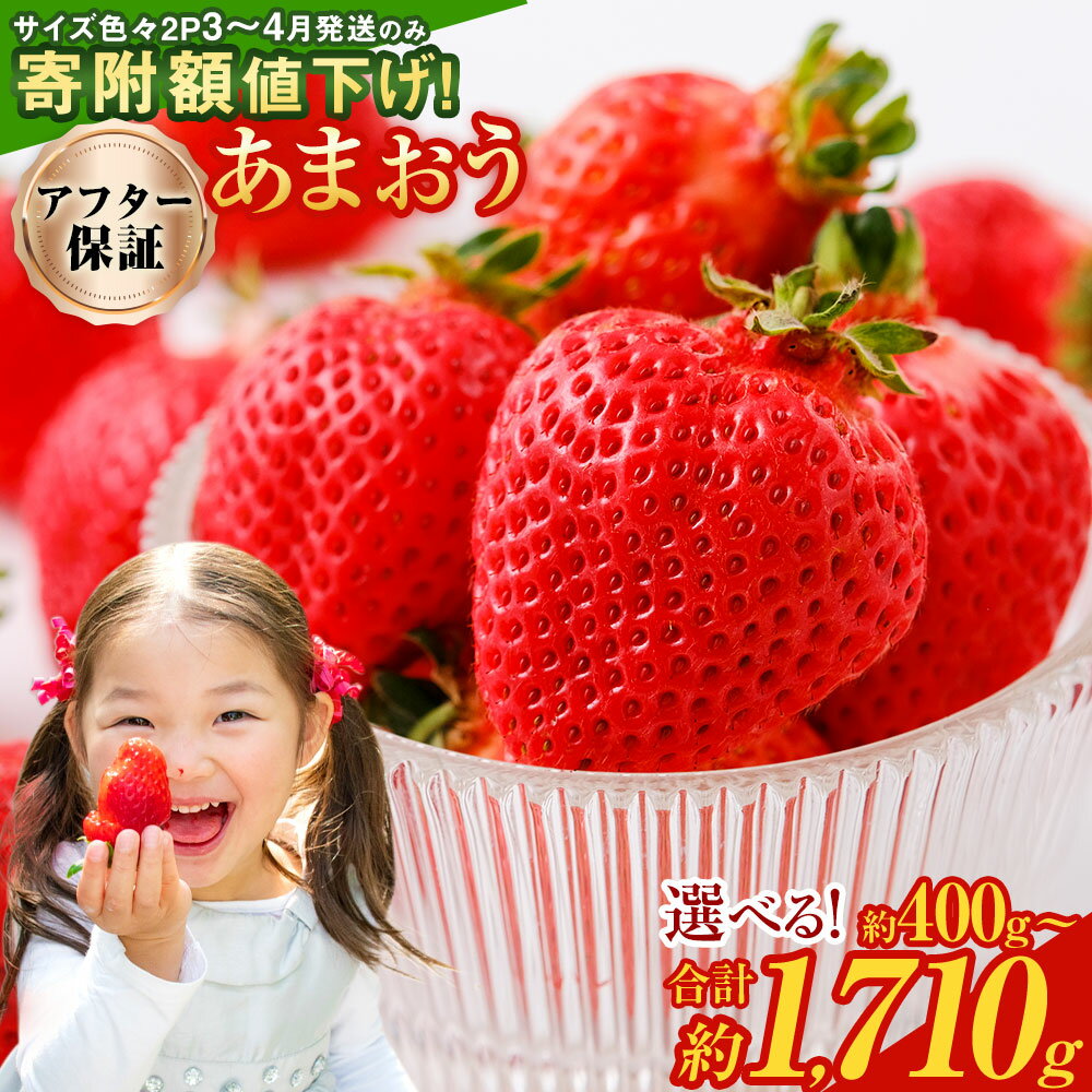 【ふるさと納税】予約 【TVで紹介！】【特別栽培/有機質肥料/アフター保証】 あまおう ＜選べる 種類・容量＞ 約400g～合計約1710g デラックス/エクセレントサイズなど【2025年12月上旬又は2026年1月上旬～4月上旬発送予定】 いちご イチゴ 苺 フルーツ 果物 冷蔵 送料無料