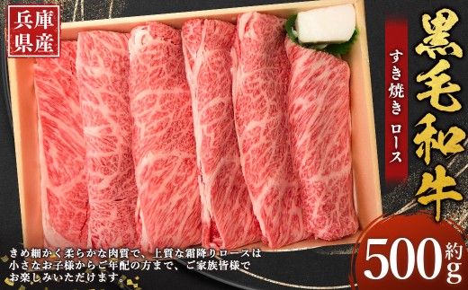 牛肉 兵庫県産 黒毛和牛 すき焼き ロース 約500g×1パック 肉 ニク にく 牛