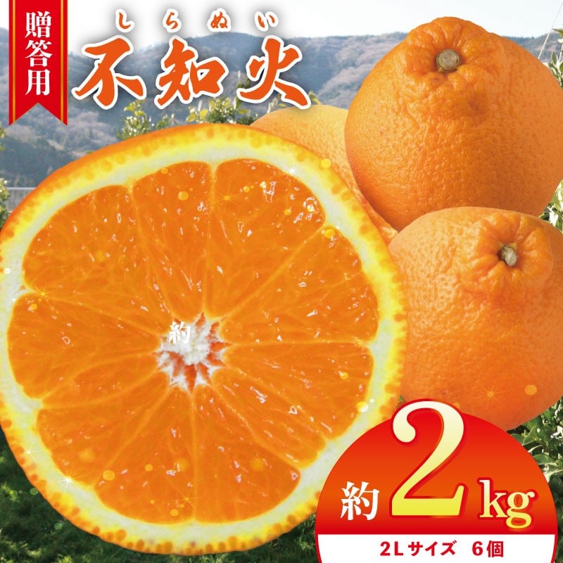 
                  不知火  約2kg 2Lサイズ 6個 【 2026年3月発送予定 】 贈答用 しらぬい 柑橘 みかん オレンジ フルーツ 果物 甘い スイーツ ギフト 送料無料 徳島県 吉野川市 山下農園
                