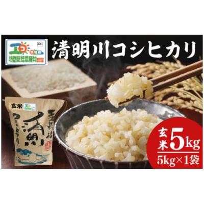 ふるさと納税 阿見町 【先行予約】新米令和7年産 茨城県特別栽培認証 清明川コシヒカリ玄米 5kg(04-19)