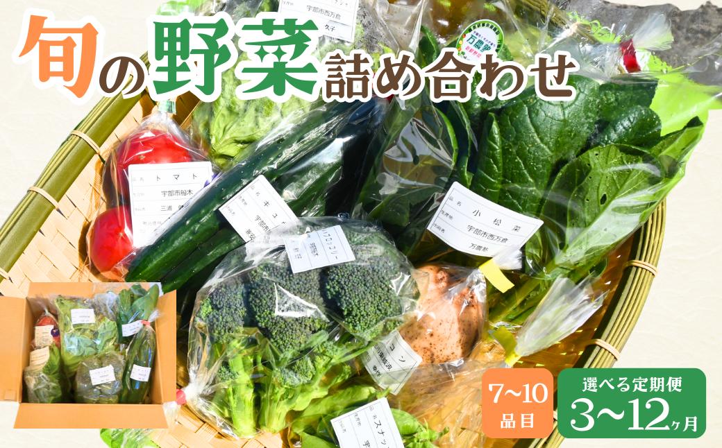 
            【選べる定期便 3ヶ月〜12ヶ月】新鮮野菜の産直 7～10品目 ＜楠こもれびの郷「楠四季菜市」＞【新鮮野菜 宇部市産 季節野菜 詰合せ 直送 野菜セット 旬の野菜 地元産 新鮮食品 野菜ボックス 定期便】
          