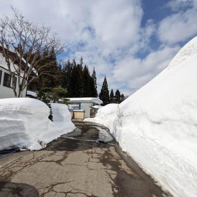 ふるさと納税 鶴岡市 令和7年鶴岡産 あきたこまち 白米 5kg【山形棚田20選のお米】 |  | 02