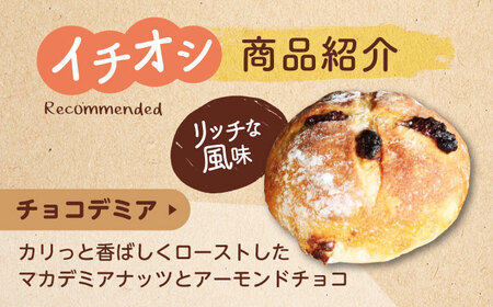 【12回定期便】 ハード系パン お楽しみバラエティーセット 13～16点 【パンの店 カッタン】 パン 食パン 大人気[MEJ016]