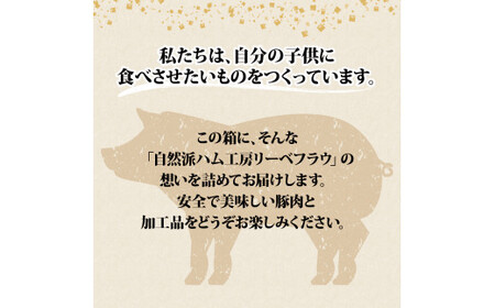 アイスバイン ソーセージ おまかせ セット ウィンナー ハム 国産 豚肉 添加物不使用 阿波美豚 燻製 おつまみ ドイツ 阿波美豚 リーベフラウ 