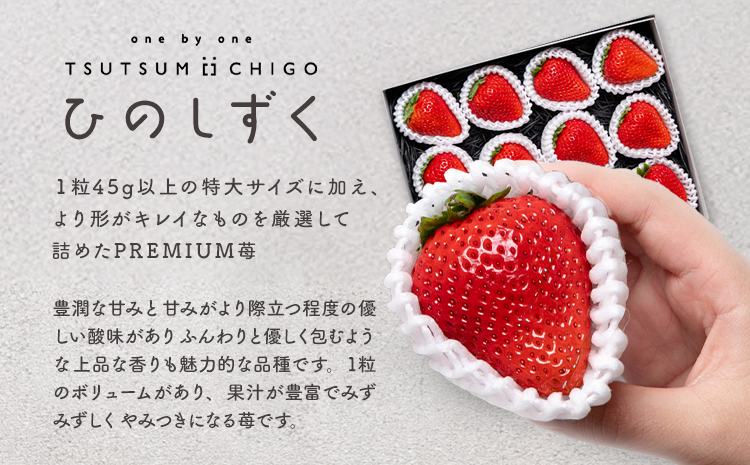 PREMIUMイチゴ 12玉 1玉45g以上 ひのしずく いちご イチゴ 苺《2026年2月発送予定》ヴァリアス株式会社 果物 くだもの フルーツ 希少 ギフト プレゼント 贈り物 国産 九州産 熊本