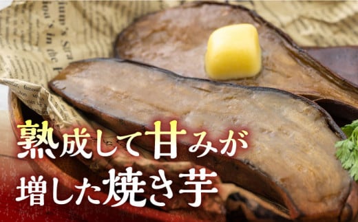 孝行芋 焼き芋 6袋 《 対馬市 》【 うえはら株式会社 】 焼芋 やきいも 常温 保存食 濃密 甘い おやつ 濃蜜 スイーツ デザート [WAI001]