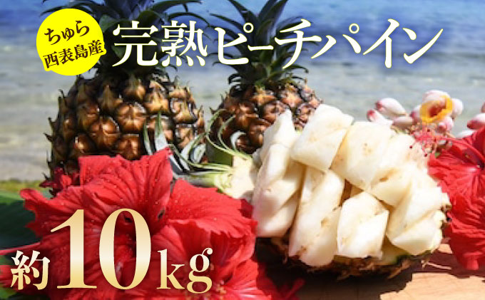 2025年 先行予約 ピーチパイン 約4.5kg 5玉～7玉 ちゅら西表島産!! ゆたか農園 完熟 パイン 果物 フルーツ パイナップル