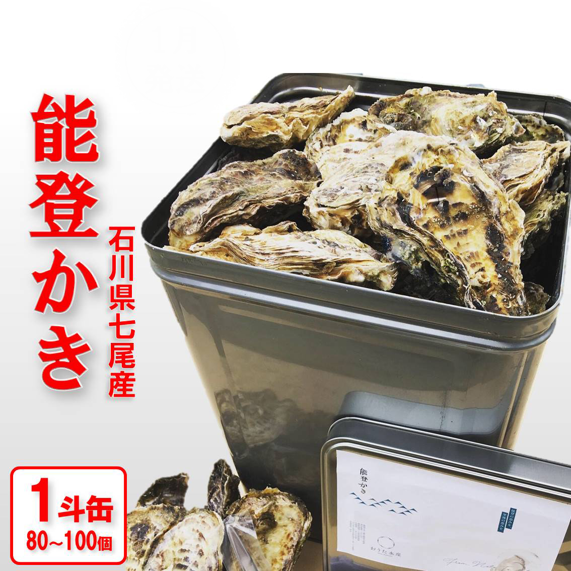 【能登半島地震復興支援】魚介類 牡蠣／能登かき　殻付牡蠣 一斗缶/約10kg（約80～100個） 専用ナイフ 片手用軍手付 /世界農業遺産「能登の里山里海」 石川県 七尾市 能登 ※要加熱 ※2026年1月下旬～5月下旬頃に順次発送予定 ※離島への配送不可