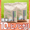 【ふるさと納税】米 10kg 令和5年 ヒノヒカリ 5kg×2 白米 こめ　【 お米 地元 契約 農家 種子 管理 田植え 育成 籾すり 精米 自然 安全 美味しさ 粘り 】　お届け：2023年11月～2024年10月末