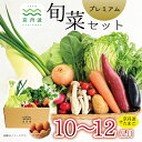 【ふるさと納税】【卵つき】 《 レビューキャンペーン 》京丹波 旬菜セット プレミアム 10～12品目 卵付き 野菜 たまご 詰め合わせ 京都 丹波 京丹波町産 産地直送 京野菜 減塩 レシピ ※北海道・沖縄・その他離島は配送不可