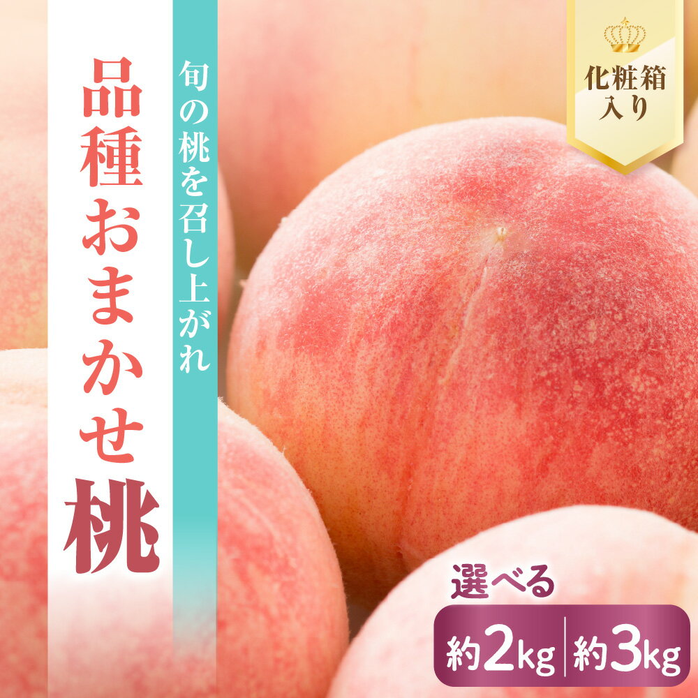 【ふるさと納税】【先行予約】 数量限定 令和8年産 もも 品種 おまかせ 選べる 内容量 約2kg 約3kg 桃 2026年8月中下旬～9月上旬頃 お届け予定 山形県 米沢市