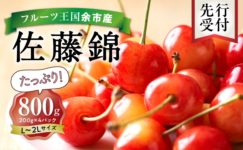 さくらんぼの王様 佐藤錦 200g×4パック 合計800g(L~2L) 【2025年発送先行予約】フルーツ王国 さくらんぼ サクランボ 桜桃 佐藤錦 余市産さくらんぼ 小分けさくらんぼ 果物 人気さくらんぼ ニトリ 北海道 余市町 _Y074-0111