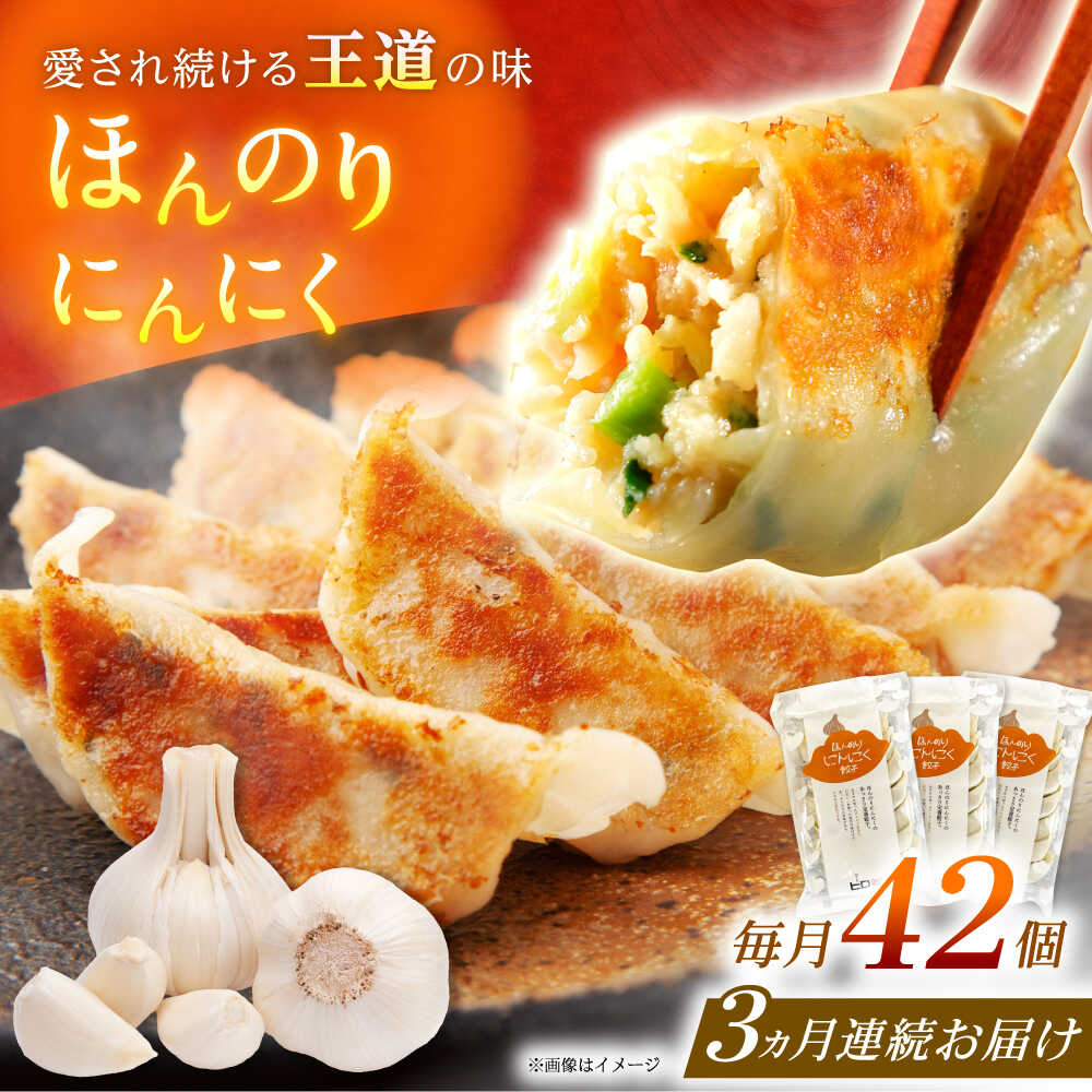 【ふるさと納税】【全3回定期便】【3パック】餃子屋ヒロの ほんのりにんにく餃子【餃子屋ヒロ】開成町 餃子 点心 惣菜 冷凍[BDAS013]