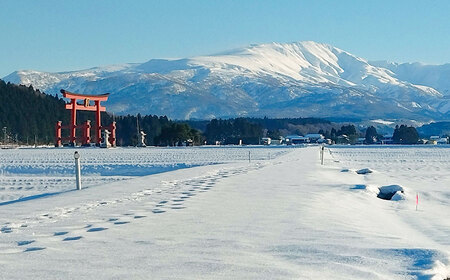 令和7年産 米どころ庄内産 ライスビレッジの雪若丸 玄米10kg K-7117