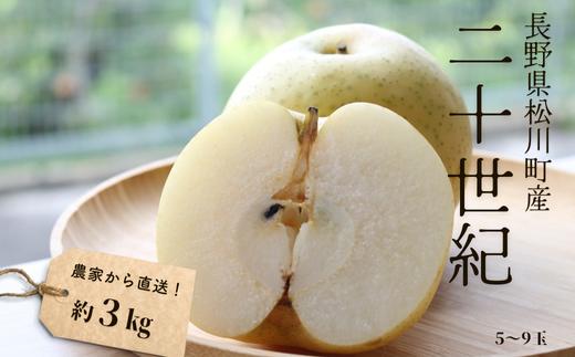 
            KW04-25A 梨 二十世紀 約3kg（5～9玉） 松川町産 贈答 / 9月中旬頃〜発送予定 // 長野県 南信州 松川町 和梨 梨 なし ナシ 20世紀 約3㎏ 産地直送 農家直送 農家支援 贈答 二十世紀 果物 フルーツ
          