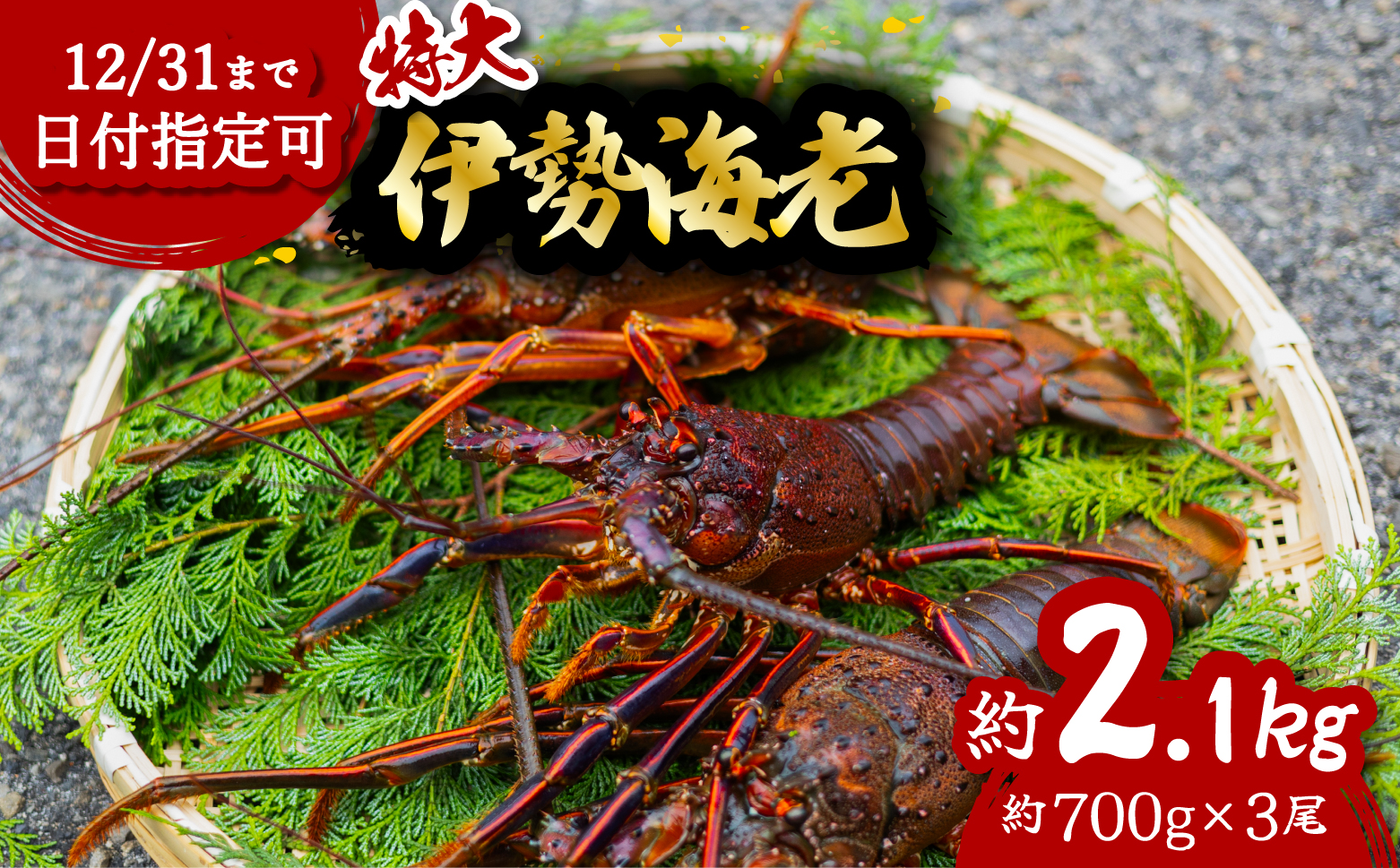 伊勢海老 特大 約2.1kg 約700g×3尾 伊勢えび 伊勢エビ いせえび イセエビ 海老 えび エビ 海鮮 海産物 海の幸 おせち 高級 国産 海鮮 ギフト 【配送日指定】