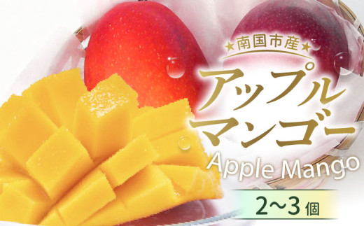 【先行予約】高知県南国市産／完熟アップルマンゴー(2個～3個）（2026年6月～発送）【フルーツ くだもの デザート 高評価 厳選 ギフト 贈り物 人気 おすすめ】【マンゴー アップルマンゴー フルーツ 旬 果物 くだもの デザート 高評価 厳選 ギフト 贈り物 贈答 ギフト 人気 おすすめ 高知県 南国市】
