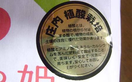 植酸栽培米つや姫（農薬：栽培期間中不使用）（精米）5kg F2Y-4411