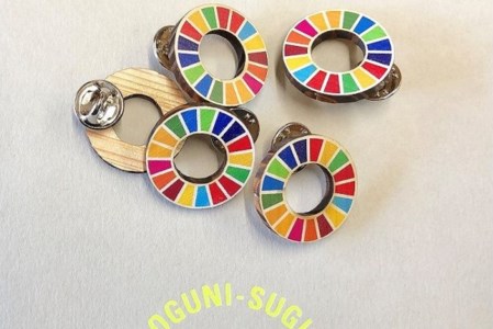 【小国町森林組合】阿蘇小国杉 SDGs ピンバッジ マグネット 計4個 小国杉 天然木 国産材 阿蘇 熊本 木製 サスティナブル アイコン 贈り物 ギフト プレゼント ノベルティにおすすめ 阿蘇小国杉