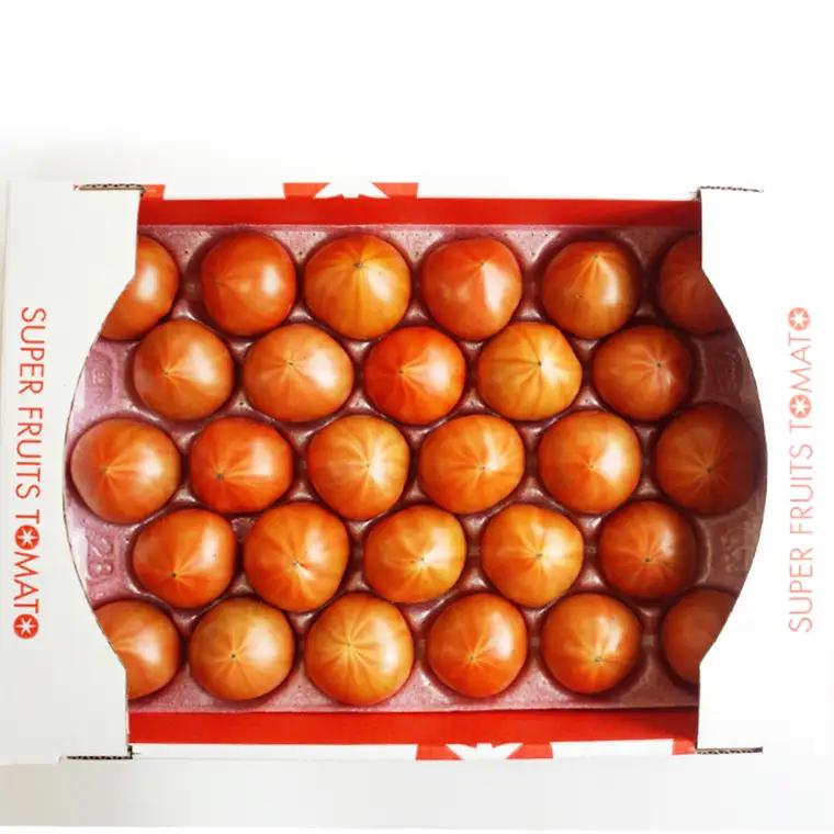 《 2027年 収穫分 》2～6月配送 スーパーフルーツトマト 大箱 約2.6kg × 2箱 (20～35玉/1箱) 糖度9度以上 先行予約 茨城県 桜川市 KEK 国産 トマト フルーツトマト ブラ