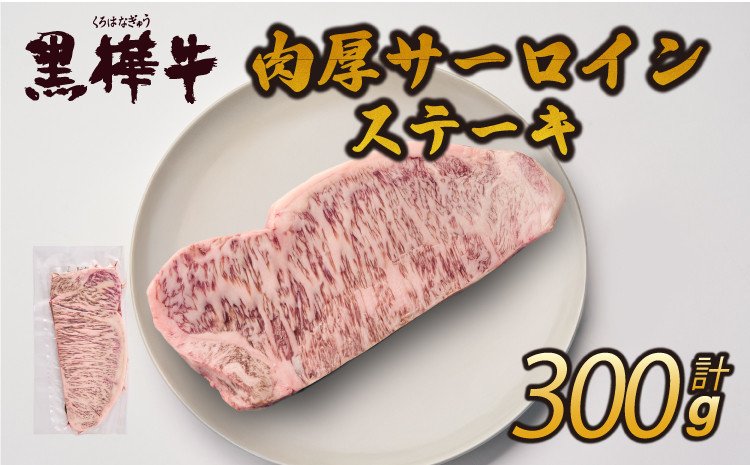 
            ステーキ 牛肉 A4～A5等級 肉厚 サーロインステーキ 300g×1パック 杉本本店 黒樺牛
          