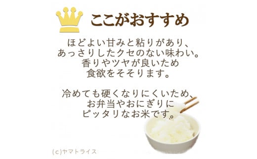 【精米】6回定期便 愛知県産あいちのかおり 200kg（5kg×40袋）　安心安全なヤマトライス 米 白米 国産 大容量 5キロ　H074-566