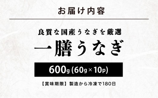  一膳うなぎ 600g（60g×10）
