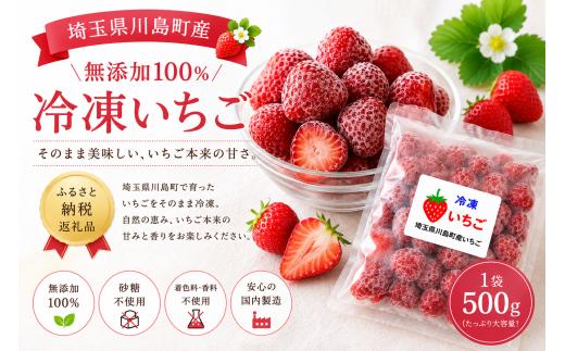 【限定20個】とちおとめ 厳選したいちご冷凍パックにてお届け1パック約500ｇ（容器含む）栄養たっぷりの土で育てた完熟いちご 埼玉県 川島町 いちごファクトリー