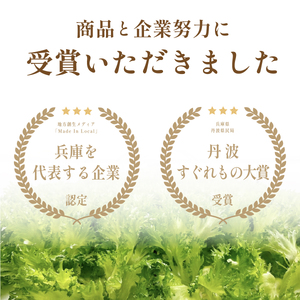 無農薬 レタス (2種類1.3kg) 無農薬野菜 MBF001