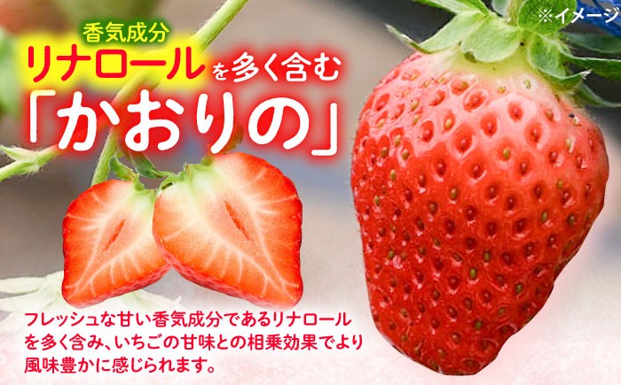 いちご イチゴ 苺 フルーツ 果物 イチゴ イチゴ 苺 ichigo strawberry ストロベリー フルーツ 果物