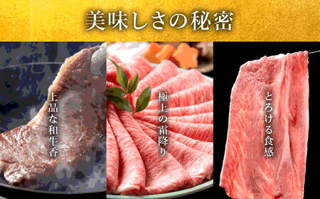 極上松阪牛定期便 満喫コース【定期便12か月】（ ヒレ シャトーブリアン サーロイン 赤身 すき焼き しゃぶしゃぶ ステーキ ハンバーグ ） 【50-4】