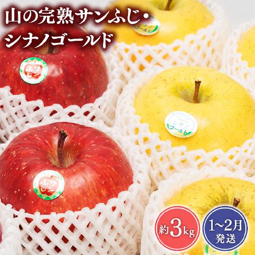 【2027年1～2月発送】 吹田りんご園 山の完熟サンふじ・シナノゴールド約3kg 【吹田りんご園・青森りんご・平川市広船産・1月・2月】