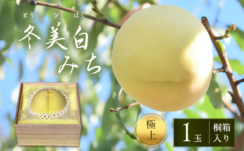 桃 2026年 先行予約 白桃 冬美白 とうびはく 極上1玉 「みち」  桐箱入り もも モモ 令和7年 岡山 赤磐市産 国産 フルーツ 果物 ギフト 果肉 しっかり 柔らかい 食感 大変貴重 高糖度 栽培方法