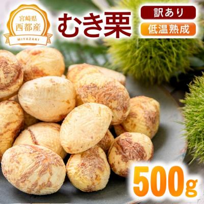 ふるさと納税 西都市 【訳あり】宮崎県西都市産　低温熟成生栗(むき栗)500g【先行受付】 [3112]