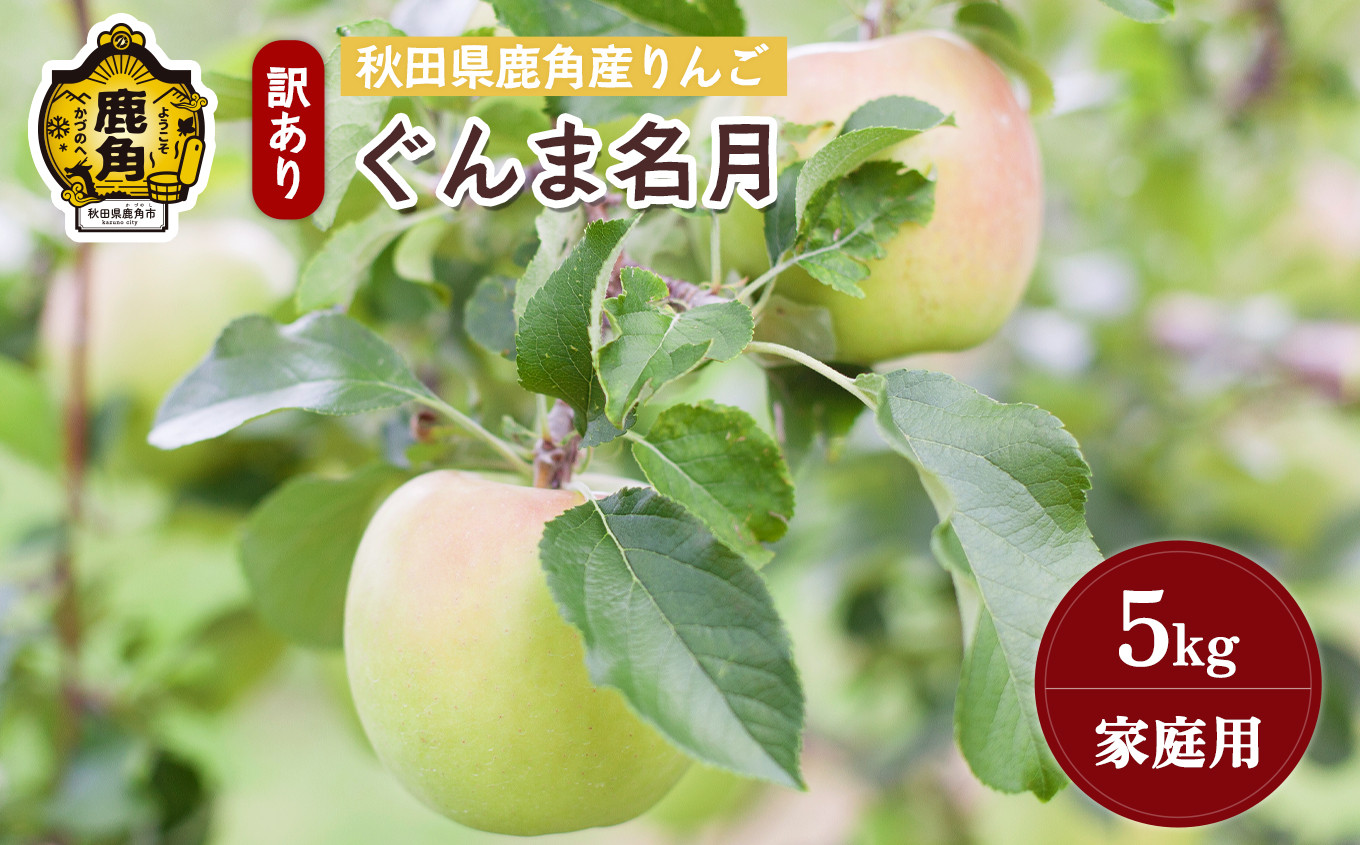 
            《先行予約》秋田県鹿角産りんご 雪国育ちの 訳あり「ぐんま名月」家庭用 5kg（20～23玉入）【山麓園】●2025年10月下旬発送開始
          