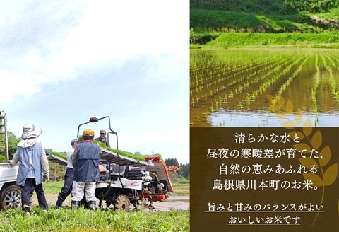 150265【令和7年産／お米定期便／6ヵ月】しまね川本こしひかり10kg(計60kg）