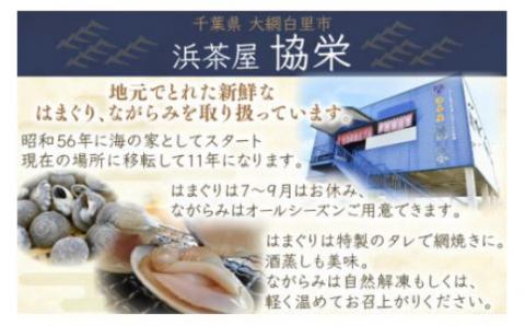 九十九里浜　天然はまぐり　1.5kg【厳選】 P007